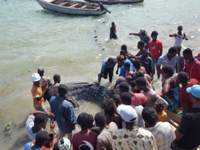 Haïti/Environnement: Découverte étrange d’un poisson géant à Grand Boucan dans les Nippes