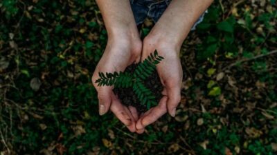 Environnement : De plus en plus de couples renoncent à avoir des enfants en raison du réchauffement climatique, selon une étude