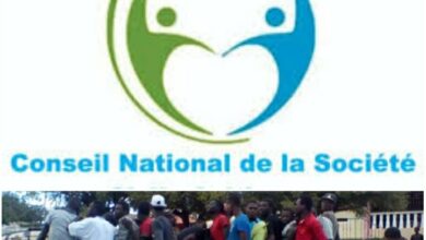 République Dominicaine: Déportation des femmes haïtiennes en pleine ceinture, le CNSCA dénonce l'atrocité du gouvernement dominicain
