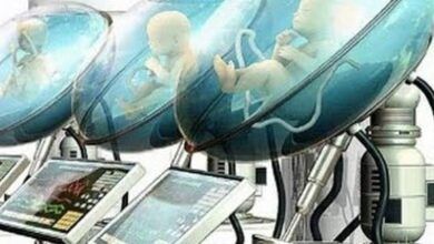 La Chine crée un ventre artificiel piloté par intelligence artificielle pour «fabriquer» des bébé