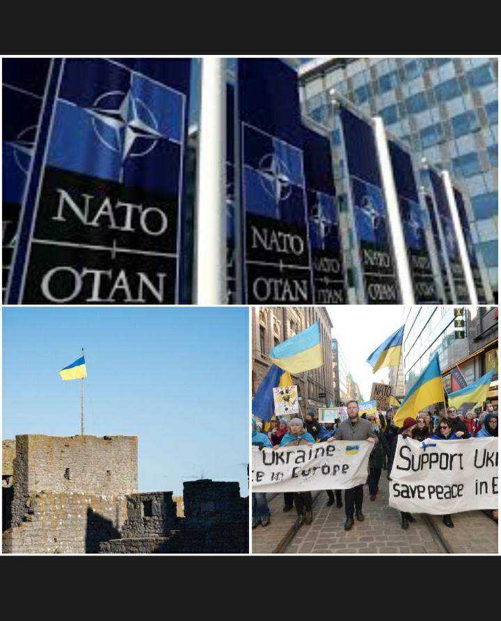 Les Finlandais et les Suédois désormais favorables à une entrée dans l’Otan