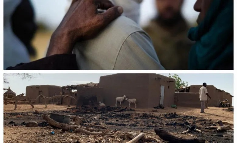 Mali : plusieurs centaines de villageois massacrés par l'EI depuis le début de l'année