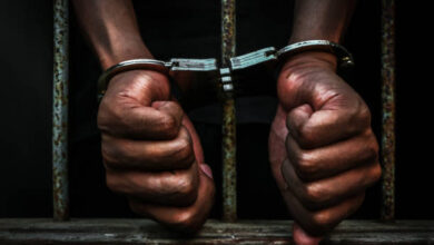 Croix-des-Bouquets/Sécurité : Arrestation de neuf présumés bandits dont le chef de Canaan 90 4 Croix-des-Bouquets/Sécurité : Arrestation de neuf présumés bandits dont le chef de Canaan 90