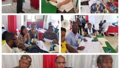 Vers la constitution du Grand Sud: le PAGOD réalise son deuxième atelier sous le leadership de l'(AMASE) visant la signature d'un manifeste