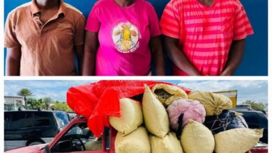 Gros-Morne: trois individus dont une femme interpellés pour trafic de drogues