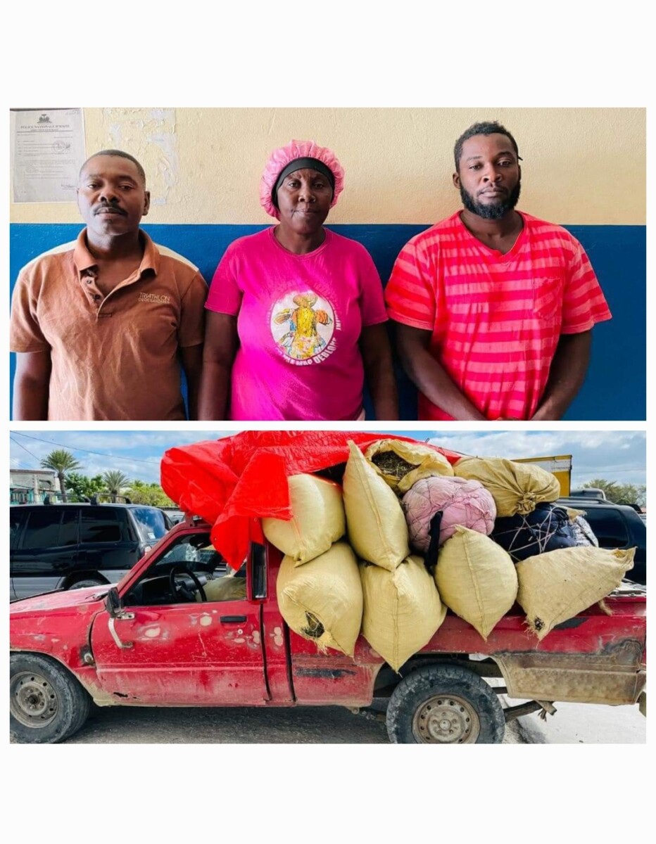 Gros-Morne: trois individus dont une femme interpellés pour trafic de drogues 1 Gros-Morne: trois individus dont une femme interpellés pour trafic de drogues