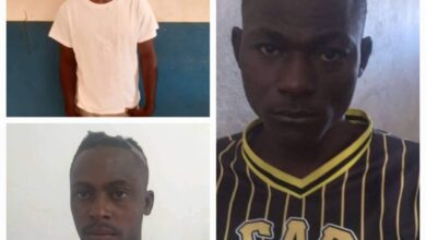 Trois (3) individus appréhendés par la PNH pour leur implication présumée dans des cas d'enlèvement et d'assassinat