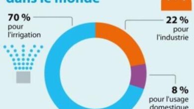 La doctrine de l’économie de l'eau