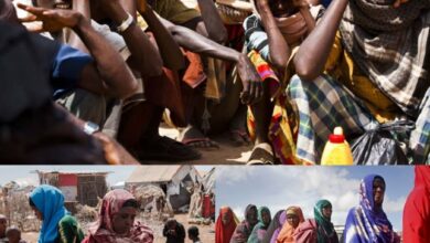 International : Près de 5,6 millions de personnes se trouvent en situation d'insécurité alimentaire aiguë en Somalie
