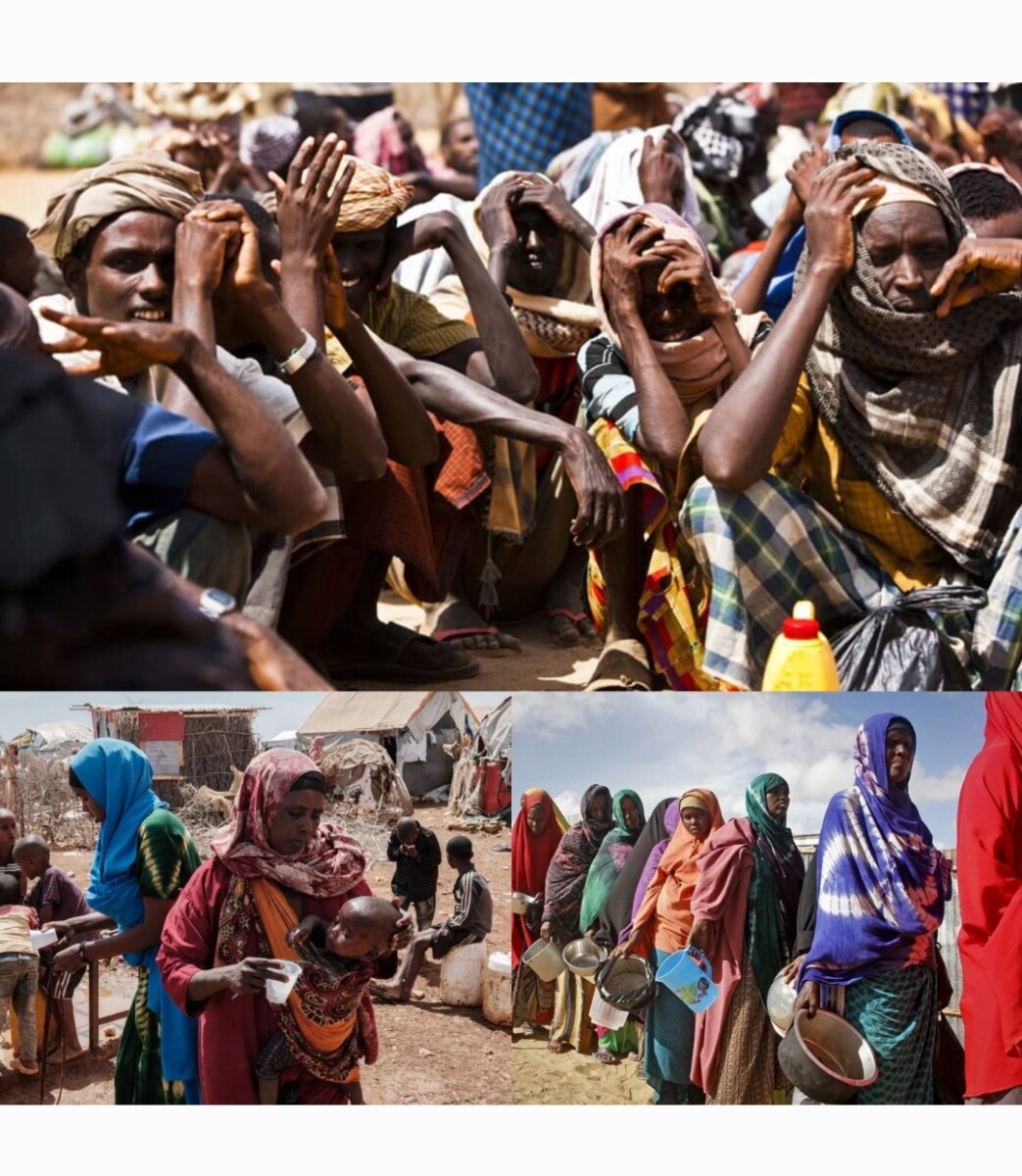 International : Près de 5,6 millions de personnes se trouvent en situation d'insécurité alimentaire aiguë en Somalie