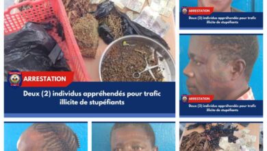 Trafic illicite de stupéfiants : deux individus soupçonnés interpellés par la PNH
