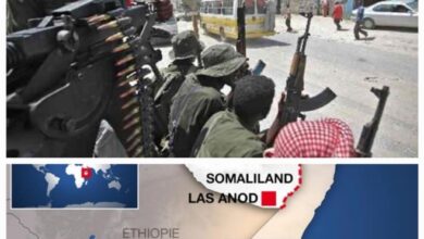 Somaliland/ Affrontements entre Civils et séparatistes: bilan 210 civils tués et 680 blessés en 24 jours