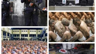 Plus de 14000 arrestations en Amérique latine dans une opération coordonnée par Interpol