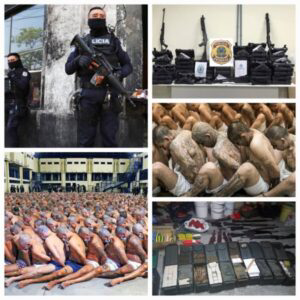Plus de 14000 arrestations en Amérique latine dans une opération coordonnée par Interpol