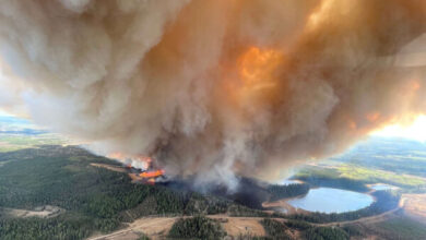Un forêt au Canada en feu, des fumées toxiques ont envahi certaines villes américaines
