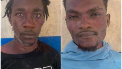 Deux présumés membres de gang appréhendés par la police