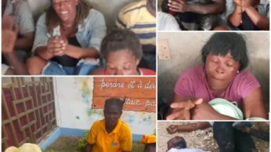 Un berger conduit ses brebis vers la jungle à Canaan: environ une quinzaine de morts et blessés enregistrés