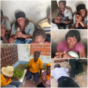 Un berger conduit ses brebis vers la jungle à Canaan: environ une quinzaine de morts et blessés enregistrés