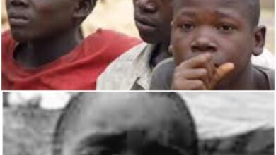 La délinquance juvénile gravit les échelons en Haïti, un garçonnet de 7 ans raconte sa vie
