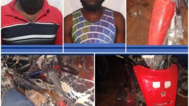 Deux membres d'une association de malfaiteurs sous les Verrous