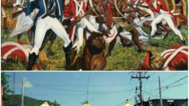 Parmi les nombreux sites historiques haïtiens, le ministère de la culture prime ceux de Vertières et de Barrière-Bouteille
