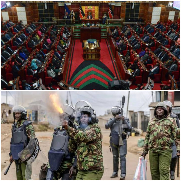 le parlement Kenyan approuve la venue des soldats en Haïti