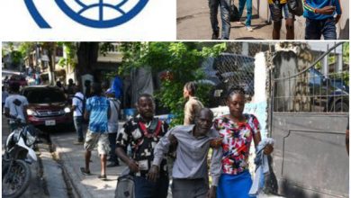 72 000 enfants déplacés dans la zone métropolitaine sous la violence des gangs armés, selon l'OIM