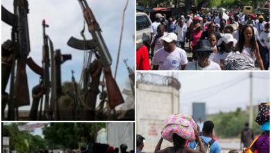 Affrontements entre groupes armés dans la plainedu Cul-de-sac : des résidents et investisseurs marchent pour la paix