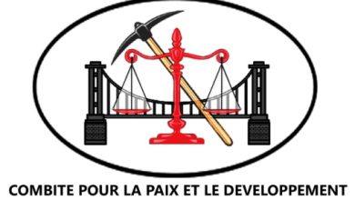 Journée internationale des droits de l’enfant : CPD exhorte l’Etat haïtien à tout mettre en œuvre pour rétablir le droit à l'éducation aux enfants