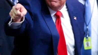 Le prochain candidat républicain, Donald Trump, prévoit une diminution du nombre d'immigrés