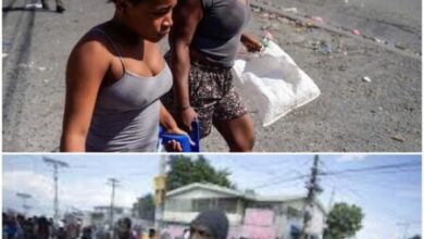 Haïti-Sécurité: Le RENAVICH-HAITI sonne l'alarme humanitaire 