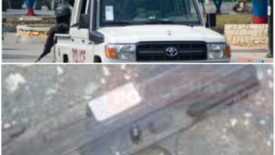 Tentative de kidnapping avortée: deux des assaillants stoppés et un pistolet confisqué 5 Tentative de kidnapping avortée: deux des assaillants stoppés et un pistolet confisqué