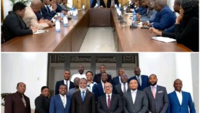 Les conseillers présidentiels rencontrent plusieurs organisations de la Diaspora