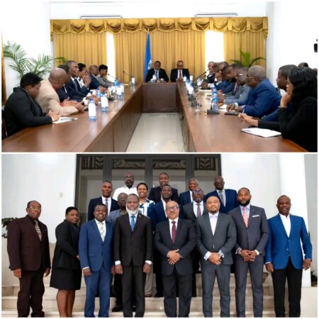 Les conseillers présidentiels rencontrent plusieurs organisations de la Diaspora