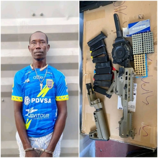 Nord: Un individu appréhendé et des munitions saisies par la Police à Quartier-Morin