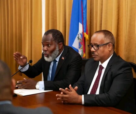 Les conseillers présidentiels rencontrent plusieurs organisations de la Diaspora