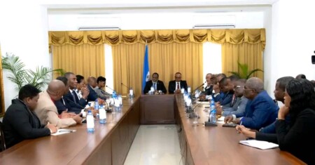 Les conseillers présidentiels rencontrent plusieurs organisations de la Diaspora