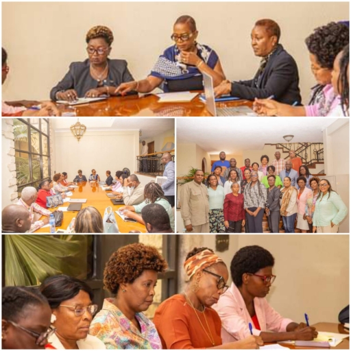 Vers l’harmonisation des relations du MCFDF avec l'ONU Femmes en vue de l'autonomisation des femmes haïtiennes