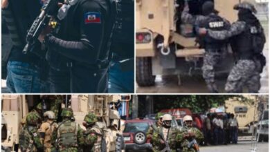 Plusieurs présumés bandits abattus et trois agents SWAT blessés dans une opération conjointe au Bel'Air