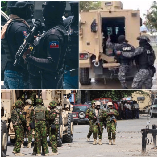 Plusieurs présumés bandits abattus et trois agents SWAT blessés dans une opération conjointe au Bel'Air