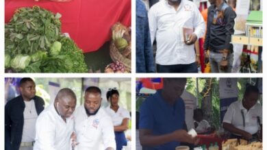 Participation du PNCS à la 18e édition de l’Artisanat en Fête