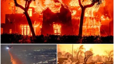 Incendies à Los Angeles : Pacific Palisades dévasté, Hollywood évacué, des morts enregistrés