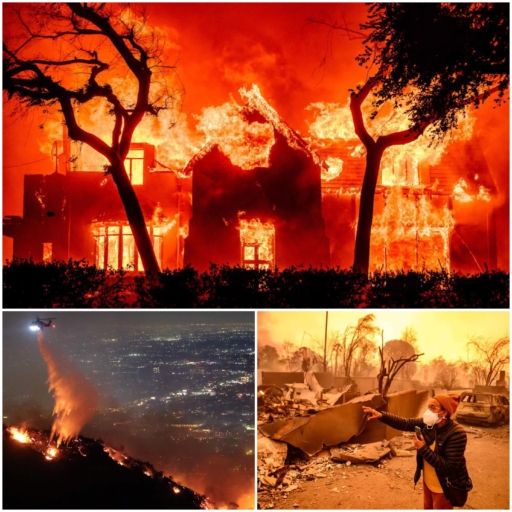 Incendies à Los Angeles : Pacific Palisades dévasté, Hollywood évacué, des morts enregistrés