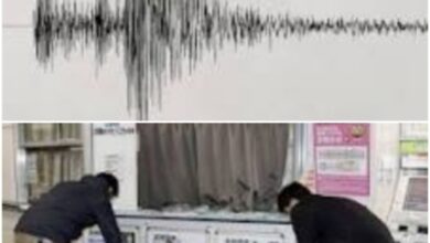 Séisme de magnitude 6,8 a secoué le Japon 6 Séisme de magnitude 6,8 a secoué le Japon