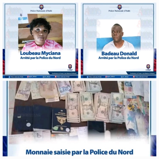 Deux individus en lien avec des gangs interpellés par la police du Nord