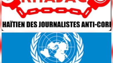 Trafic d’anguilles et blanchiment d’argent: le RHAJAC exige la publication des noms impliqués