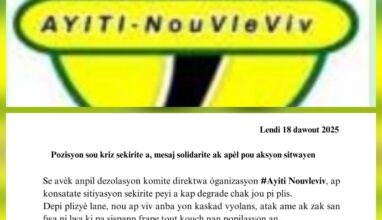 Haïti en crise : l'organisation "Ayiti Nou vle Viv" propose une voie de sortie 3 Haïti en crise : l'organisation "Ayiti Nou vle Viv" propose une voie de sortie