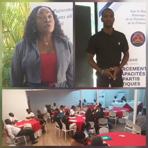 Haïti–Trois journées de formation pour renforcer les partis politiques dans la perspective des élections