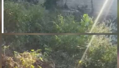 Port-au-Prince: la famille Rivière Surgy (Gytho) dénonce une tentative de spoliation foncière à Delmas 75