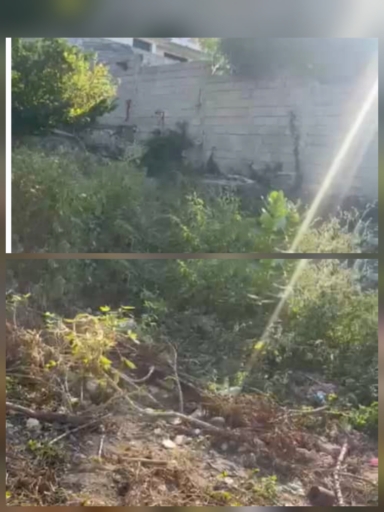 Port-au-Prince: la famille Rivière Surgy (Gytho) dénonce une tentative de spoliation foncière à Delmas 75